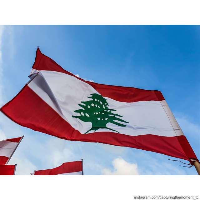  lebanon love red white green lebaneseflag revolution 2019... (Lebanon)