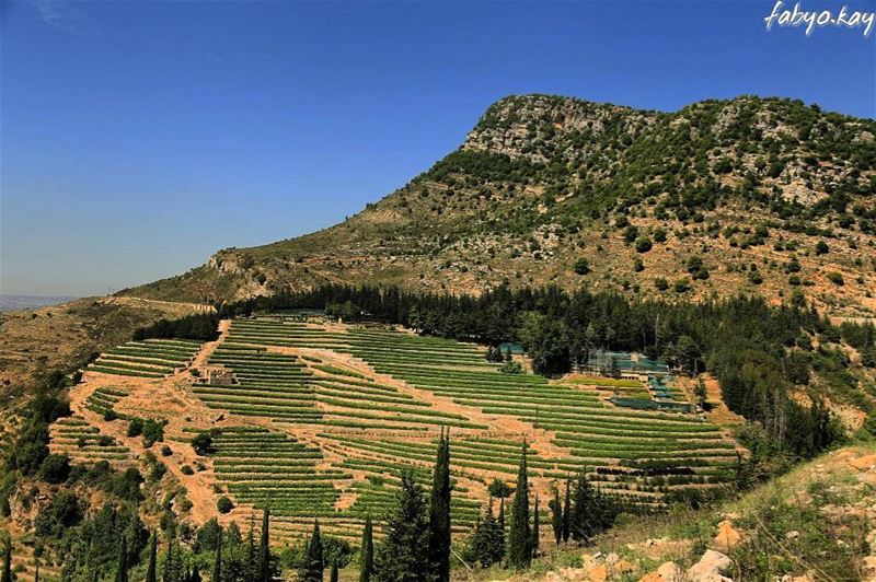  lebanon morning nature canon_photos  monday naturelovers instacool... (Jezzîne, Al Janub, Lebanon)