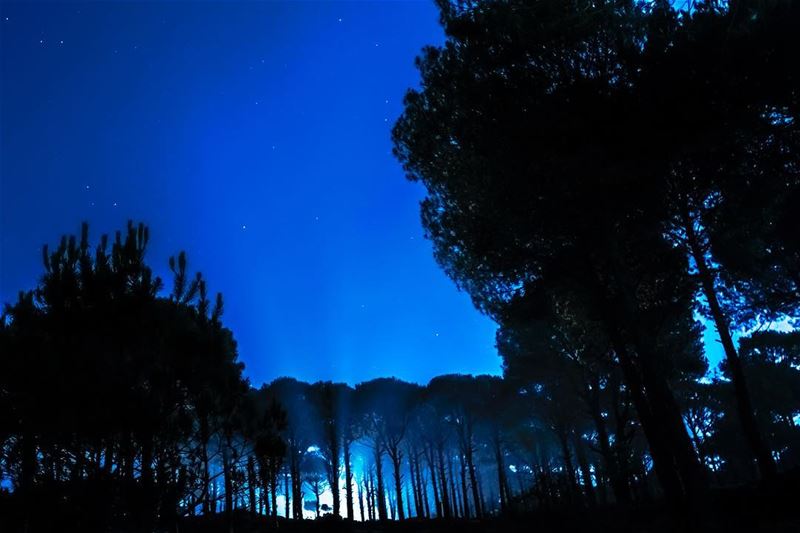  lebanon mountains paradise photography shininglebanon lbc natureshooter...