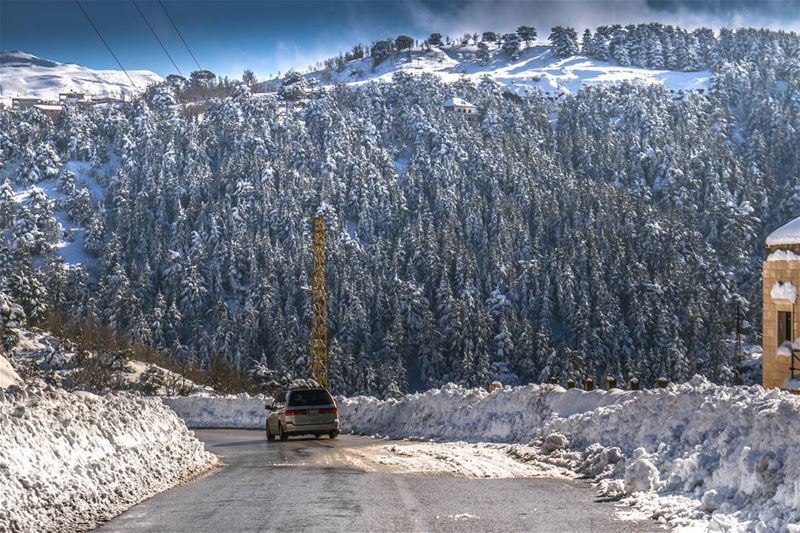  lebanon  mountains  road  trees  snow  winter  white  nature ...
