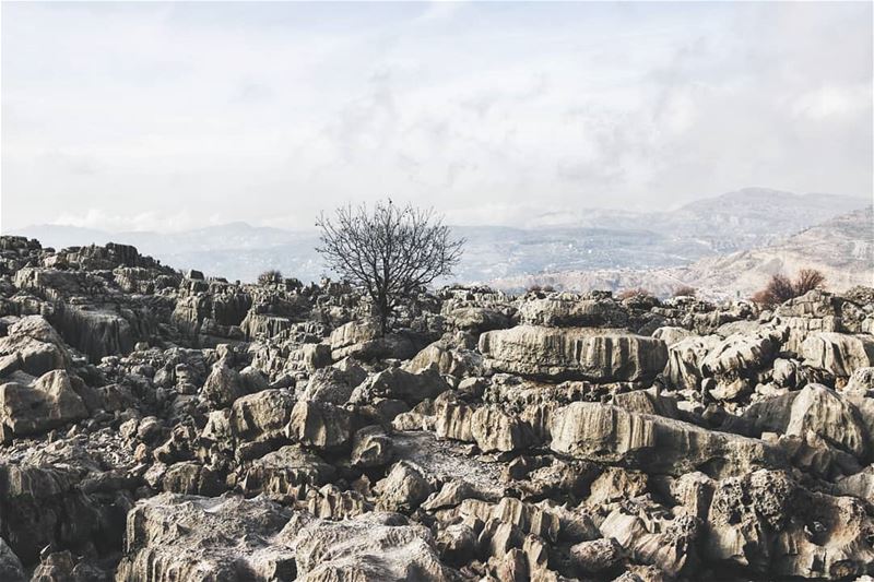  lebanon  mountains  theimaged  agameoftones  earthpix ... (Qanat Bakish, Mont-Liban, Lebanon)