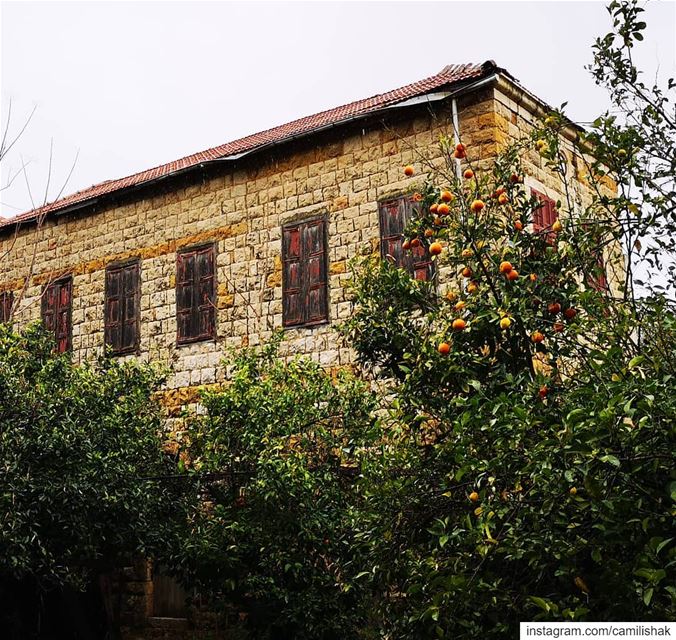  lebanon mountlebanon keserwan dlebta livelovedlebta lebanonhouses old... (Dlebta, Mont-Liban, Lebanon)