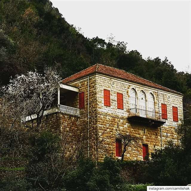  lebanon mountlebanon keserwan dlebta village nature livelovedlebta... (ضيعة دلبتا)