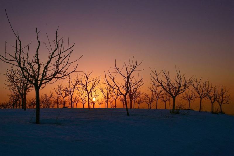  lebanon  mrouj  bolonia  sunset  livelovelebanon  livelovebeirut ... (Bois De-Boulogne, Mont-Liban, Lebanon)