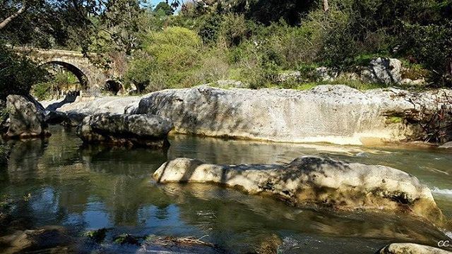  lebanon  nature  chouf  jisrelqadi  livelovelebanon   whatsuplebanon ...