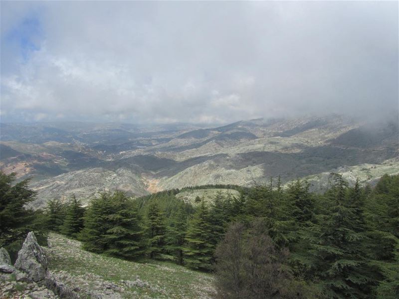  lebanon  nature  landscape  forest  hiking  trekking  hike  outdoors ...