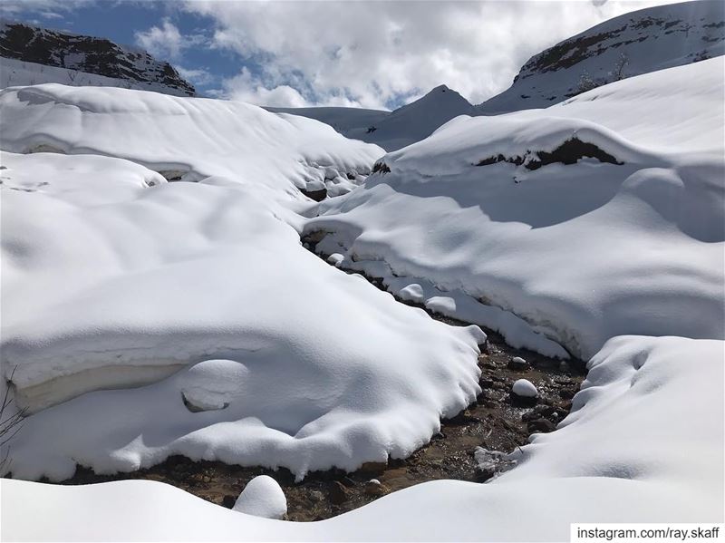 .... ............... lebanon  nature  landscape  forest ... (Snow River)