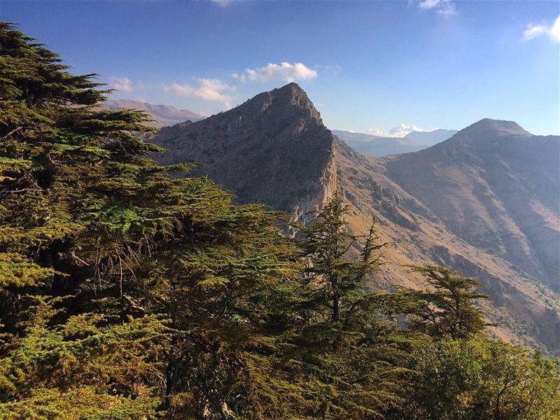  lebanon  nature  landscape  forest  trekking  outdoors  photography ...