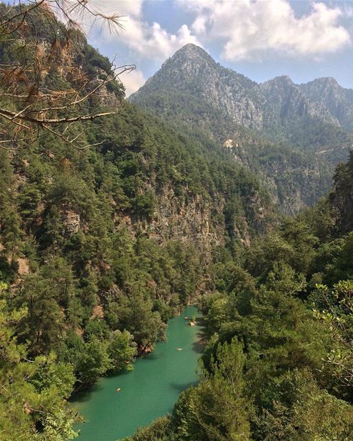  lebanon  nature  landscape  forest  trekking  outdoors  photography ...