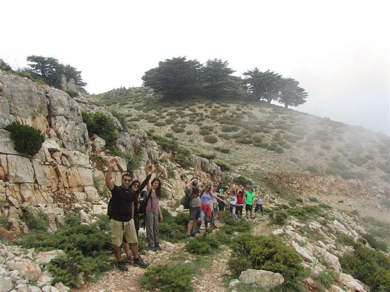  lebanon  nature  landscape  forest  trekking  outdoors  photography ...