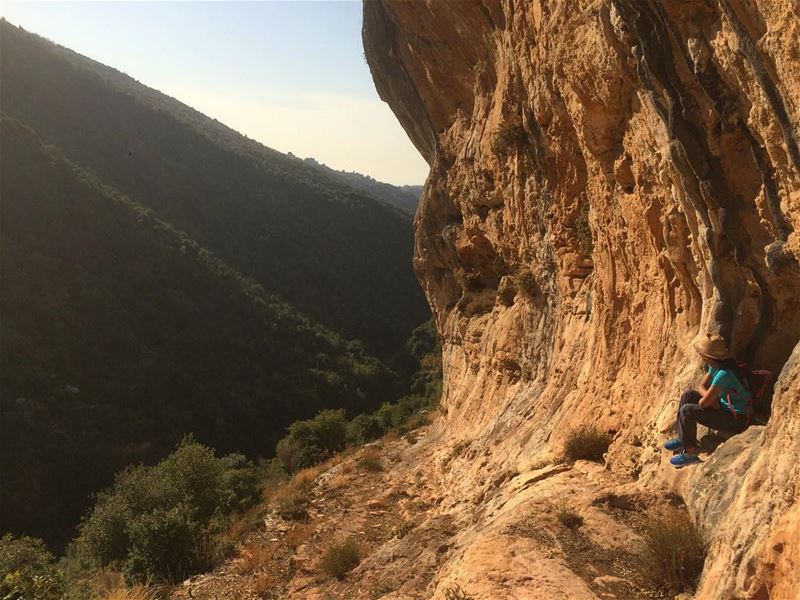  lebanon  nature  landscape  forest  trekking  outdoors  photography ...