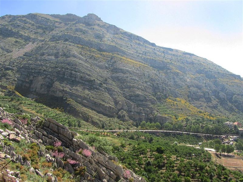  lebanon  nature  landscape  forest  trekking  outdoors  photography ...