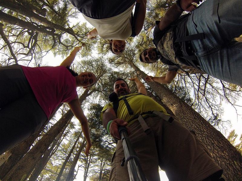  lebanon  nature  landscape  forest  trekking  outdoors  photography ...