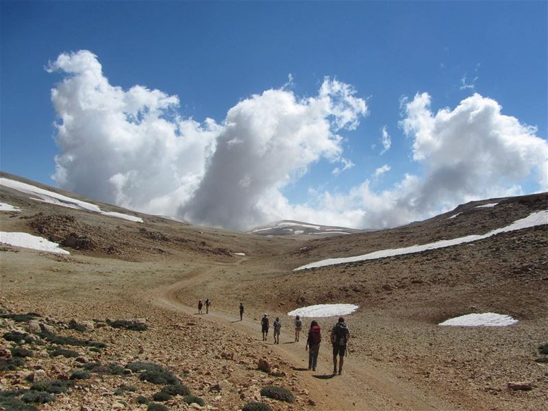  lebanon  nature  landscape  forest  trekking  outdoors  photography ...