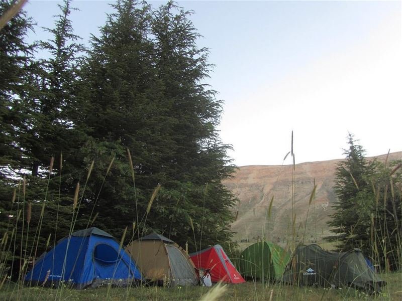  lebanon  nature  landscape  forest  trekking  outdoors  photography ...