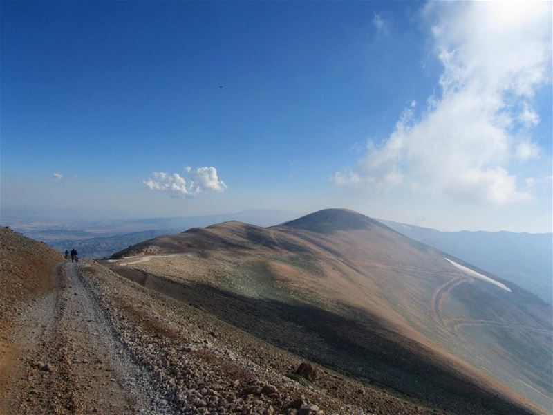  lebanon  nature  landscape  forest  trekking  outdoors  photography ...