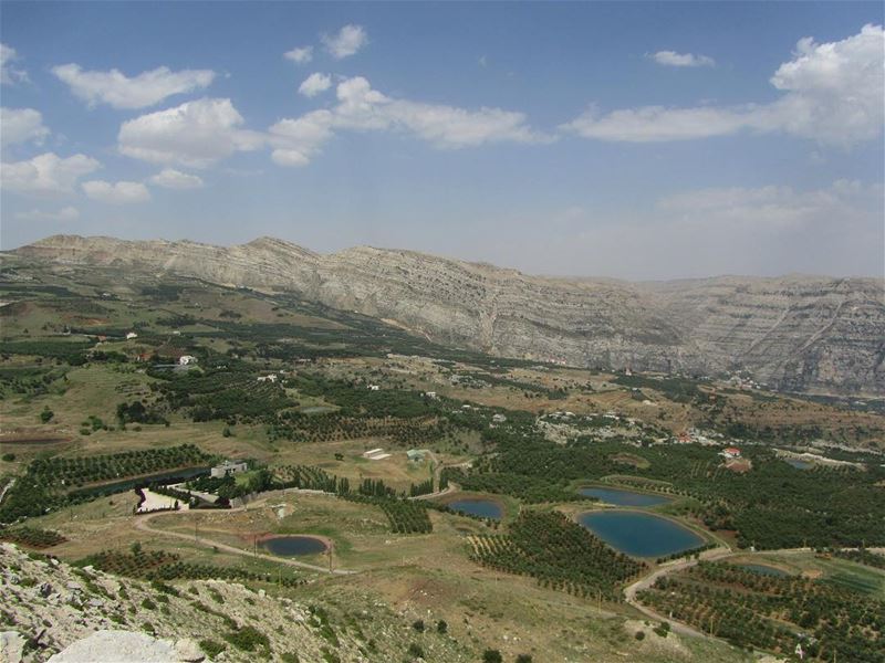  lebanon  nature  landscape  forest  trekking  outdoors  photography ...