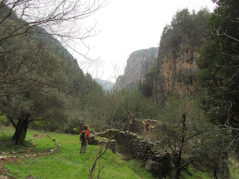  lebanon  nature  landscape  outdoors  trekking  hiking  hike  mountain ...