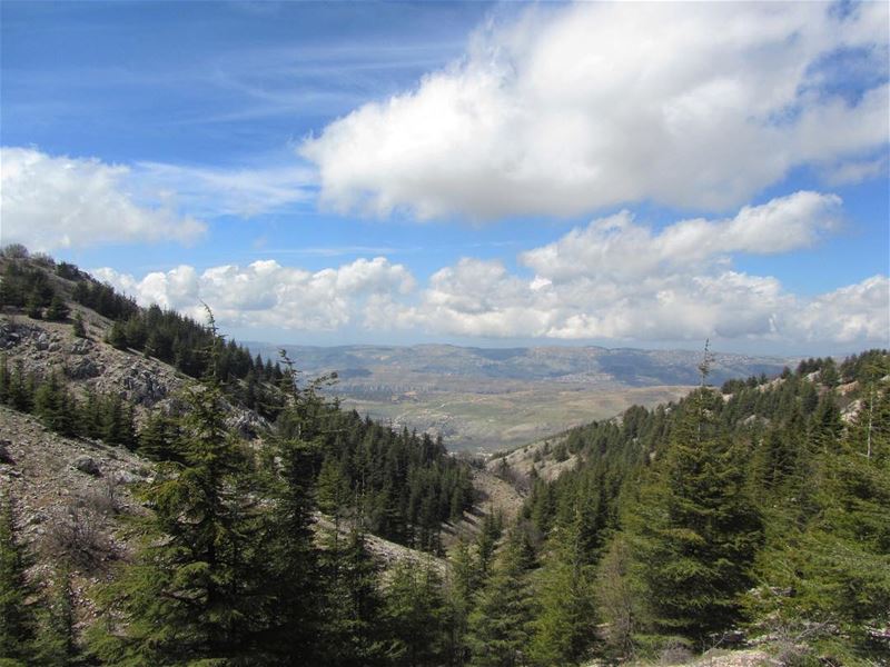  lebanon  nature  landscape  outdoors  trekking  hiking  mountain  forest ...