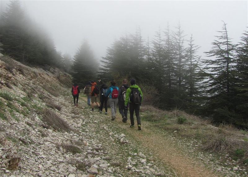  lebanon  nature  landscape  trekking  hiking  outdoors  hike  forest ...