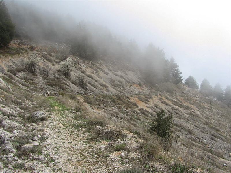 lebanon  nature  landscape  trekking  outdoors  hiking  hike  mountain ...