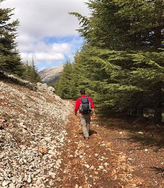  lebanon  nature  landscape  trekking  outdoors  photography  hiking  hike...