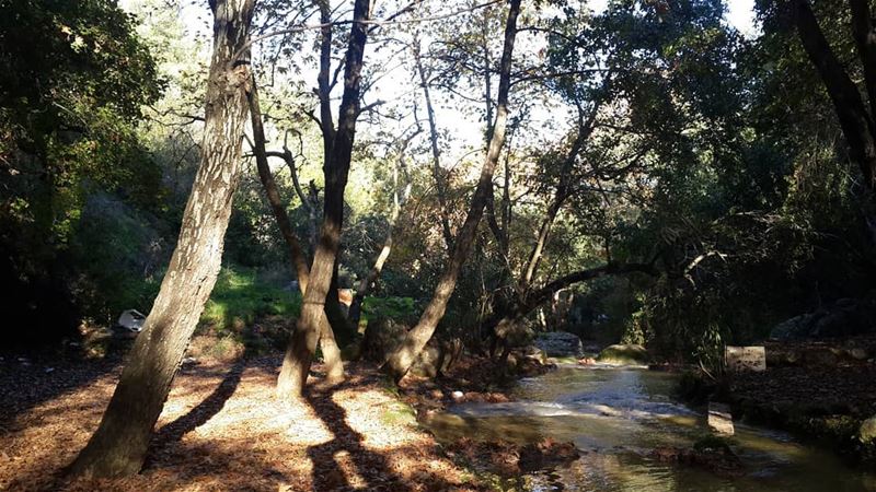 • lebanon  nature  lebanese  adventure  lifeofadventure  discovery ...