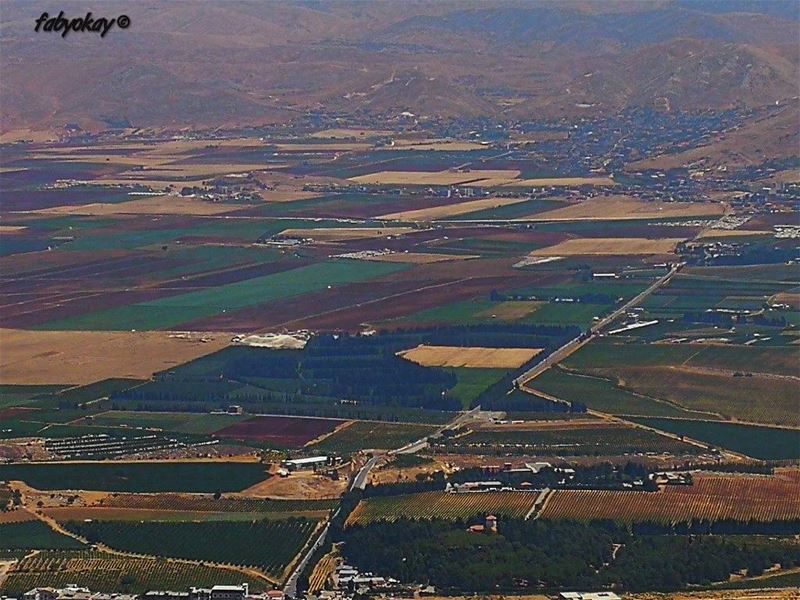 ==================================== lebanon nature naturelovers beqaa me... (Kefraya Bekaa)