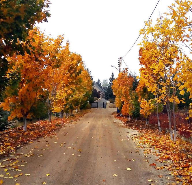 🍁🍂🌾 lebanon  nature  naturelovers  natureporn  landscape ... (El Laklouk, Mont-Liban, Lebanon)