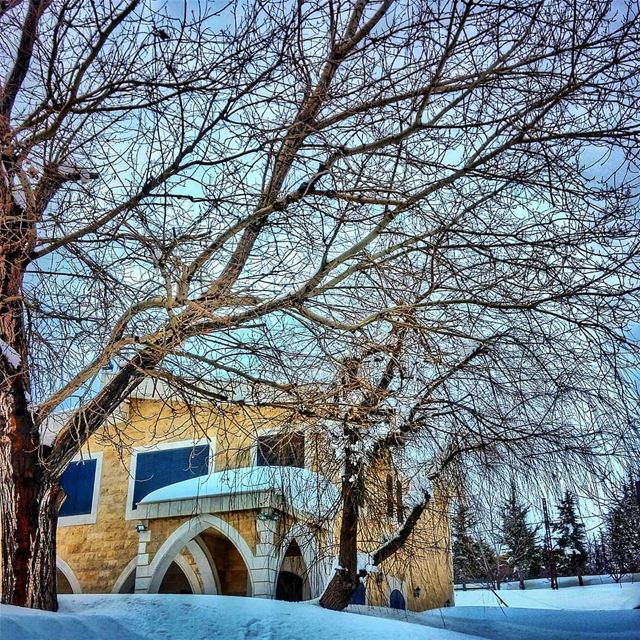 💙💙💙 lebanon  nature  naturelovers  natureporn  landscape ... (El Laqloûq, Mont-Liban, Lebanon)