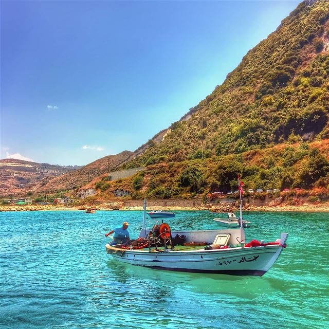 🐙 lebanon  nature  naturelovers  natureporn  landscape  follow4follow ... (Hamat)