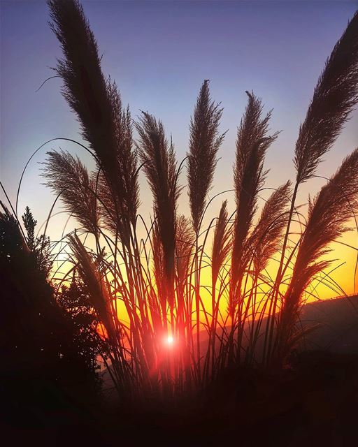 😎 lebanon  nature  naturelovers  natureporn  landscape  follow4follow ... (Bmariam, Mont-Liban, Lebanon)