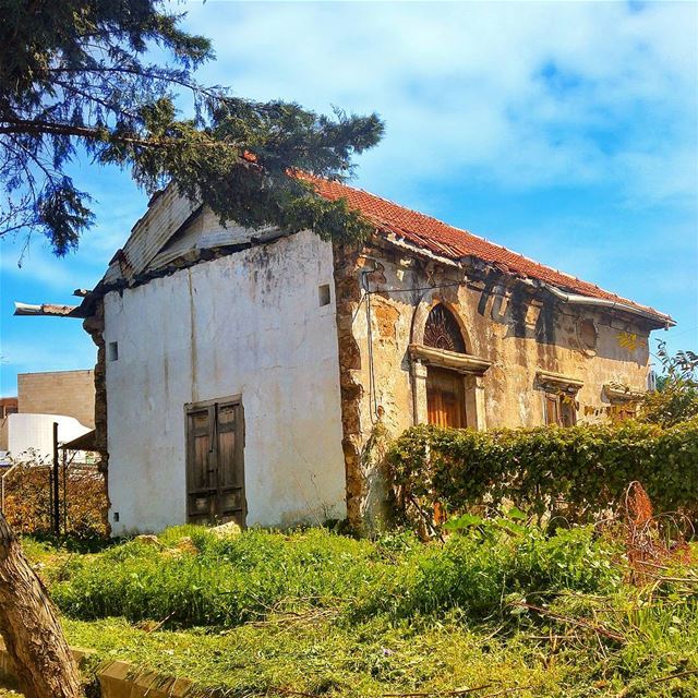  lebanon  nature  naturelovers  natureporn  landscape  follow4follow ... (Byblos, Lebanon)