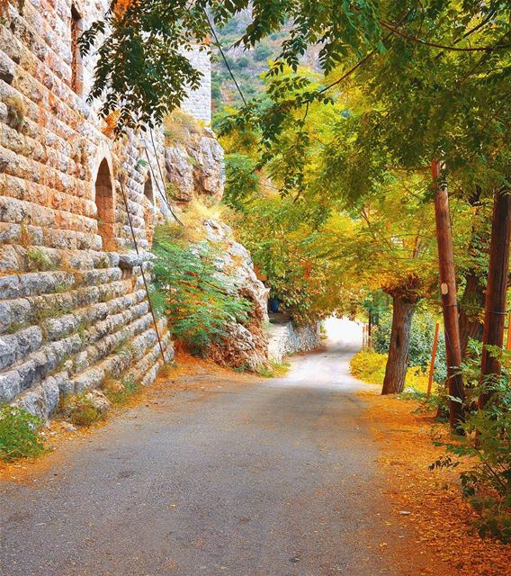 🍂🌾🍁 lebanon  nature  naturelovers  natureporn  landscape ... (دير مار انطونيس قزحيا وادي القدسين)