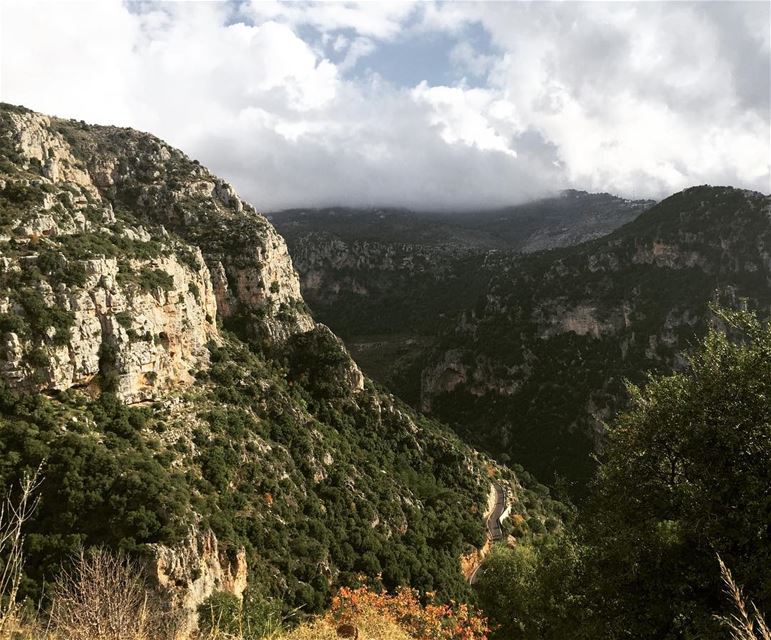  Lebanon  nature  naturephotography  instagood ...
