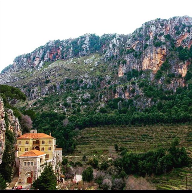  lebanon nature north naturephotography  natureporn  naturelovers ...
