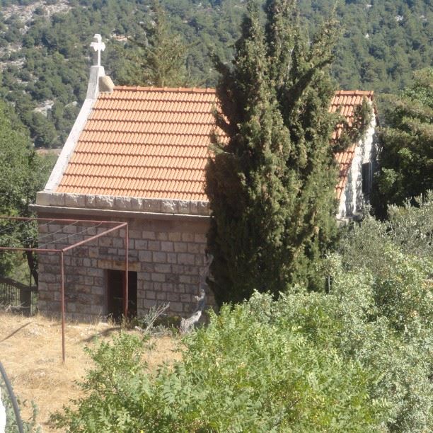 lebanon  nature  old church