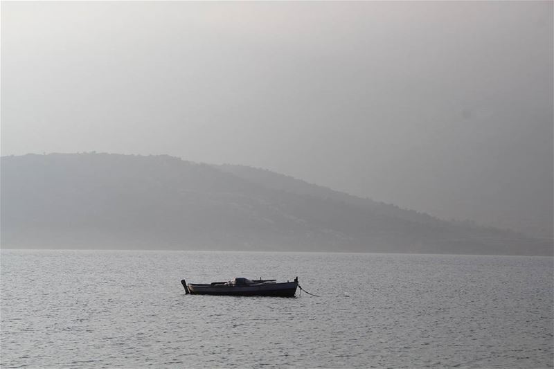  lebanon nature  photooftheday  shot nature instainspire inspire lake... (Qaraaoun, Béqaa, Lebanon)