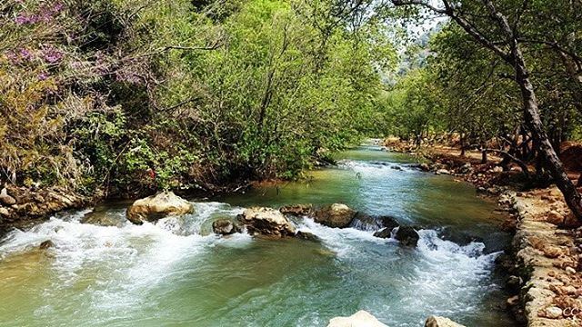  lebanon  nature  river  chouf   livelovelebanon  lebanonspotlights ...