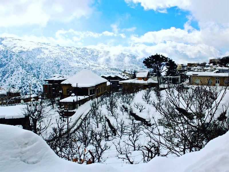  lebanon nature snow mountains instagood instagram instagoodmyphoto...