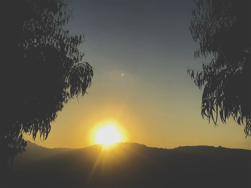  Lebanon  nature  sun  sunset  dusk  mountain  trees  green  leaf  sky ...