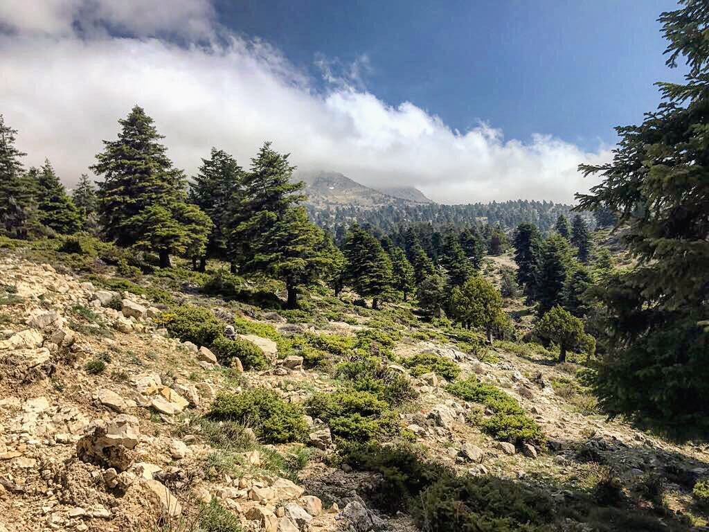  lebanon  nature  throwback  instagood  wanderlust  travelgram ...