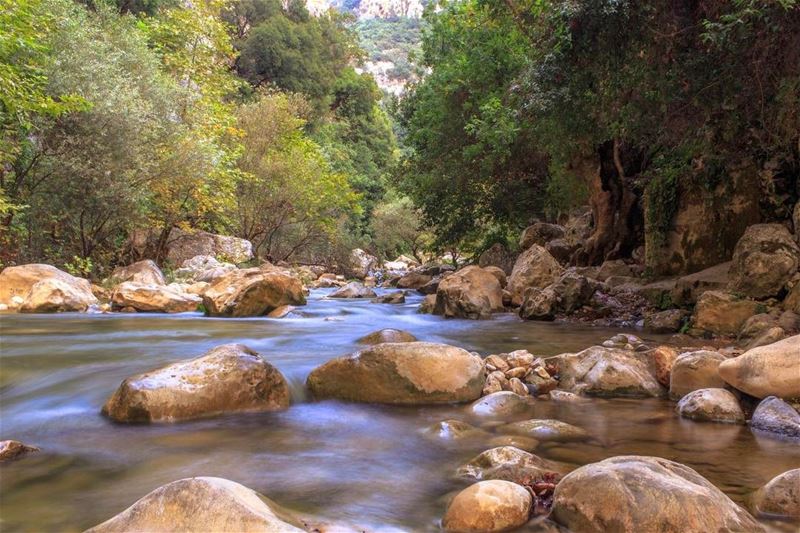  Lebanon nature yahchouch river landscape lebanon_hdr lebanonspotlights... (Yahchouch)