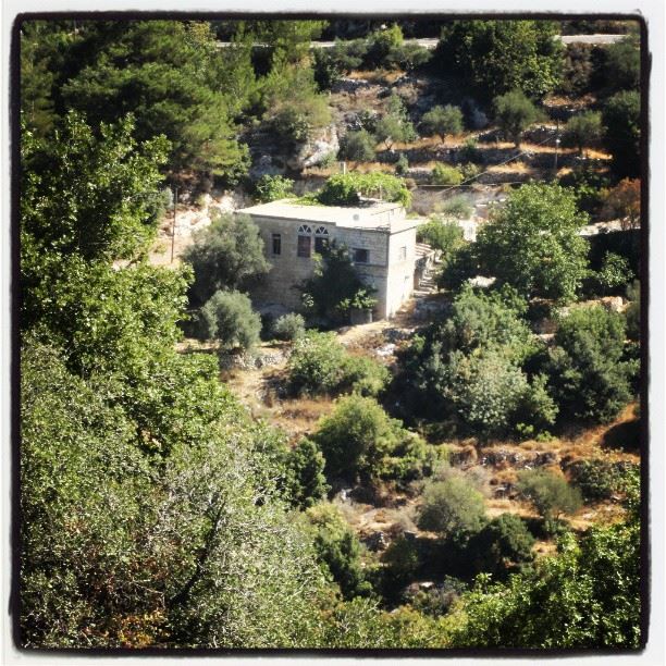 lebanon  nature