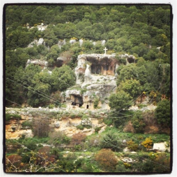 lebanon nature
