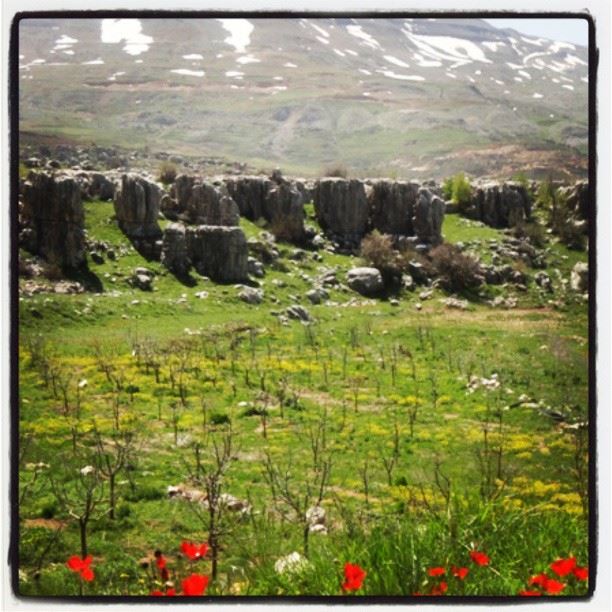 lebanon nature