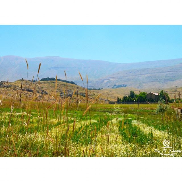  lebanon  natureBy ... (Cedars of God)