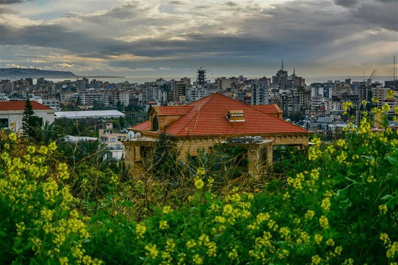  lebanon    nikon📷  photography  photography  photographer  lebanon ... (Bramiyeh)