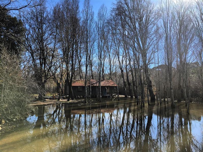 🏚⛰🇱🇧❤ lebanon  north  batroun  abdelli  swamp  forest  swamphouse ... (Abdelli, Liban-Nord, Lebanon)