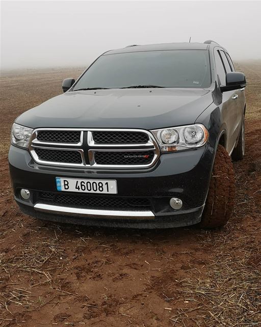  lebanon north hunting season dodge durango wild life nature colors fog... (Qarha, Liban-Nord, Lebanon)